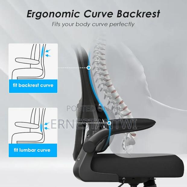 High Back Ergonomic Chair From Farini, Uk · Photo 7