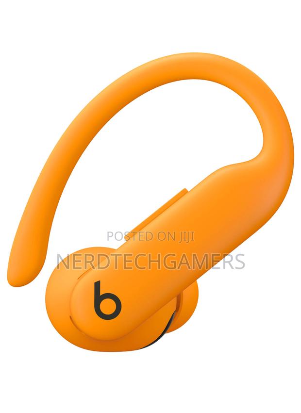 Beats by Dr. Dre Powerbeats Pro 2 Wireless Nc Earbuds · Photo 3