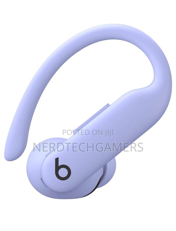 Beats by Dr. Dre Powerbeats Pro 2 Wireless Nc Earbuds · Photo 4