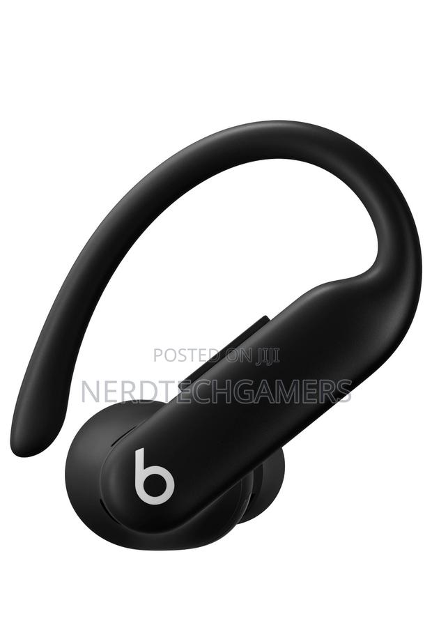 Beats by Dr. Dre Powerbeats Pro 2 Wireless Nc Earbuds · Photo 2