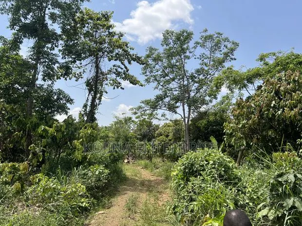 Affordable Land for Sale at Ejisu-Adense · Photo 1