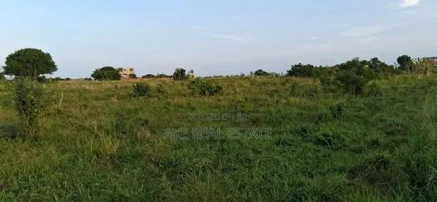 Newly Demarcated and Genuine Plots · Photo 1