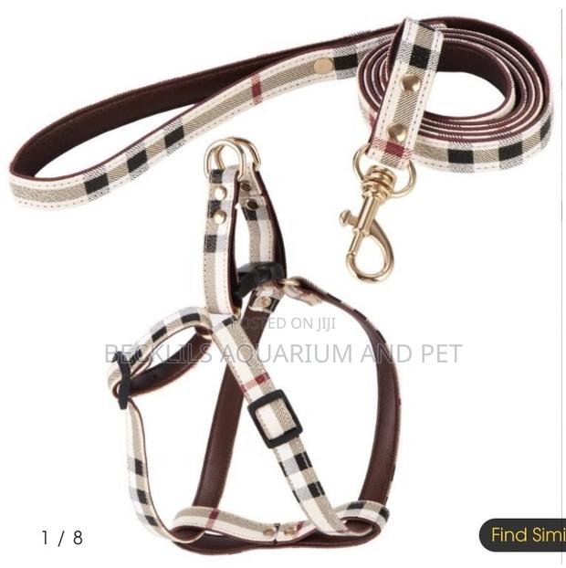 Adjustable Leash With Harness · Photo 1