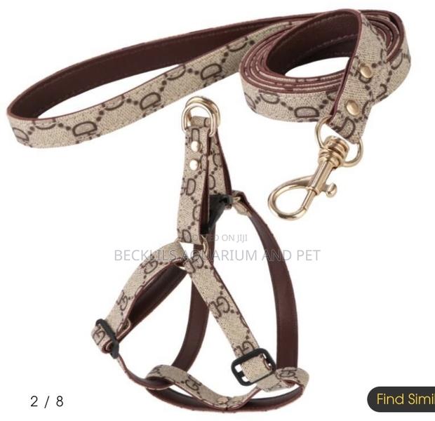 Adjustable Leash With Harness · Photo 2