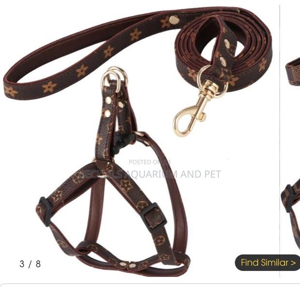 Adjustable Leash With Harness · Photo 4