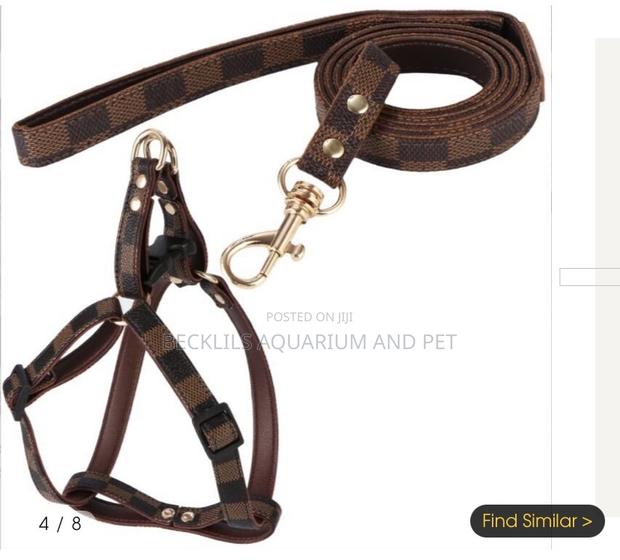 Adjustable Leash With Harness · Photo 3
