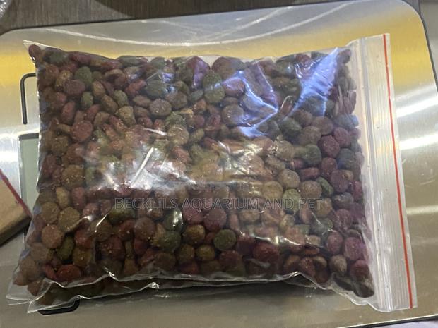 Catfood ( Pawpaw) · Photo 5