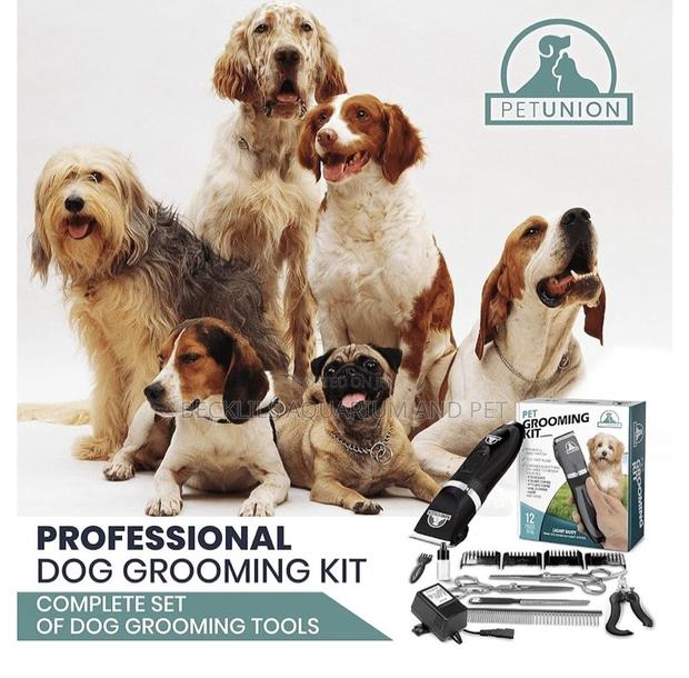 Grooming Set for Hairs N Nails · Photo 2