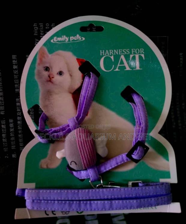Harness for Cats · Photo 1