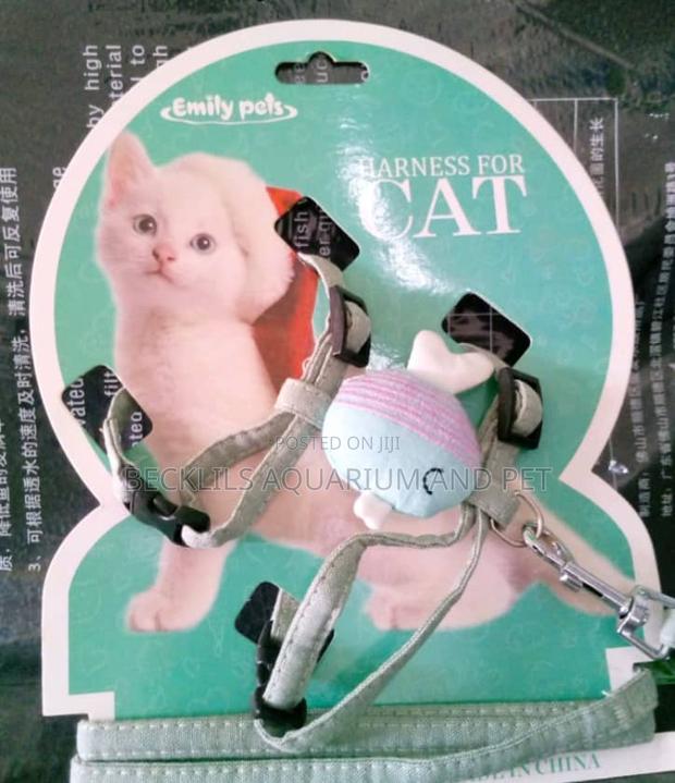 Harness for Cats · Photo 2