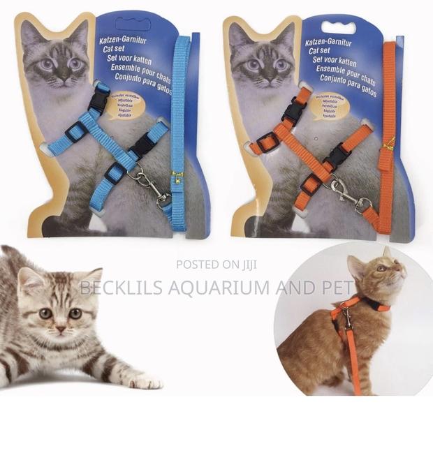 Cat Harness and Leash Set · Photo 2