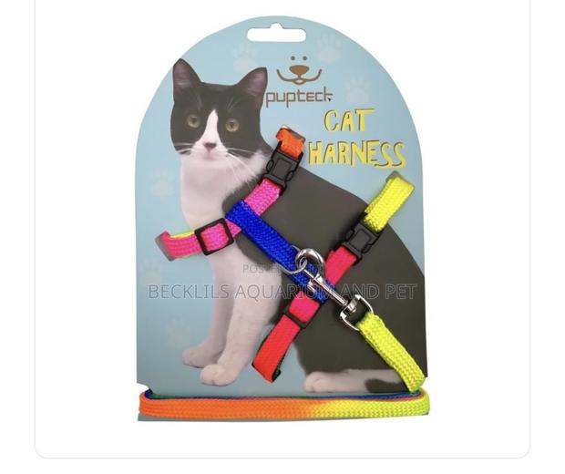 Cat Harness and Leash Set · Photo 1