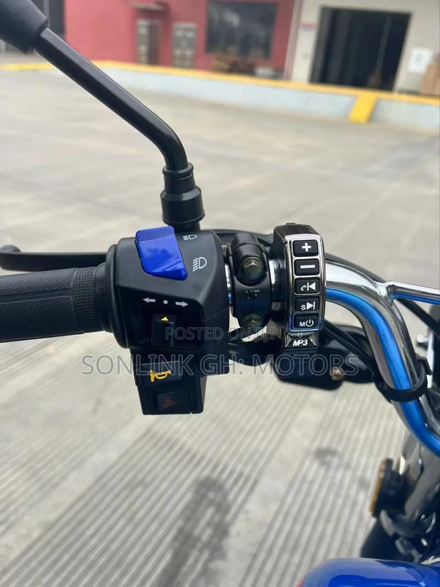 New Sonlink SL125 2025 · Photo 3