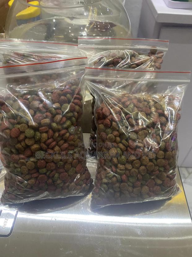 Catfood ( Pawpaw) · Photo 4