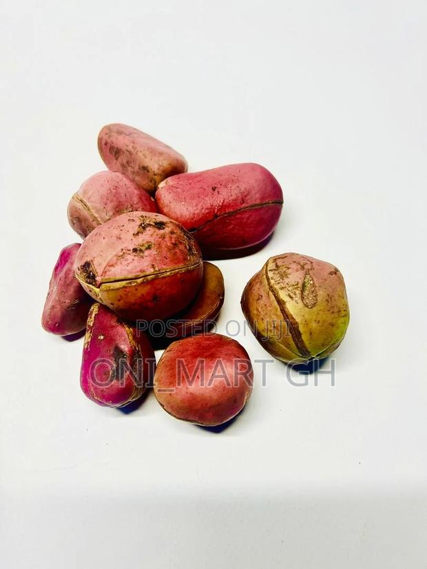 African Kola Nut · Photo 3