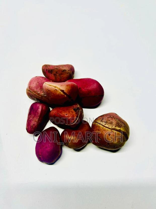 African Kola Nut · Photo 4