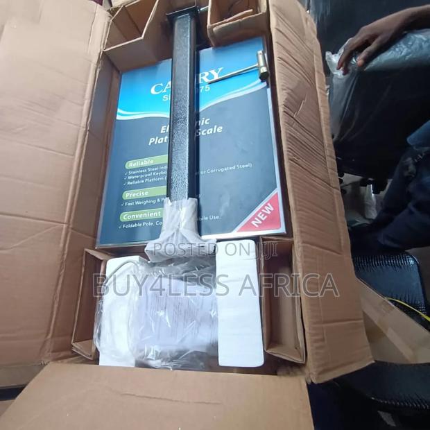 Quality Camry Stainless Steel Platform Scale 300kg · Photo 2