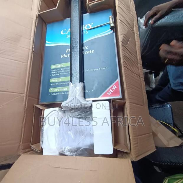 Quality Camry Stainless Steel Platform Scale 300kg · Photo 3