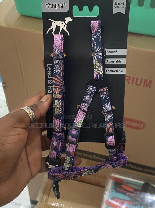 Package Harness With Leash · Photo 4
