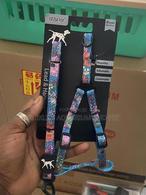 Package Harness With Leash · Photo 1