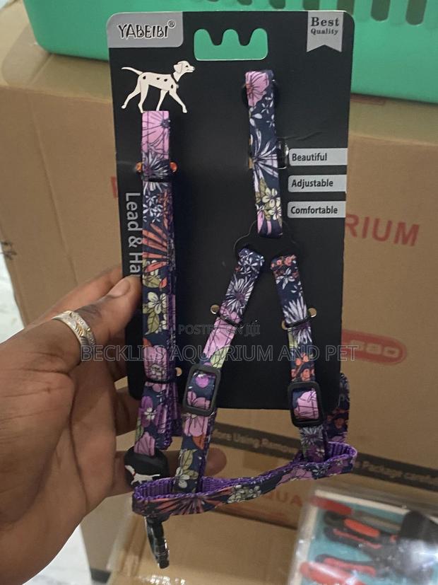 Package Harness With Leash · Photo 2