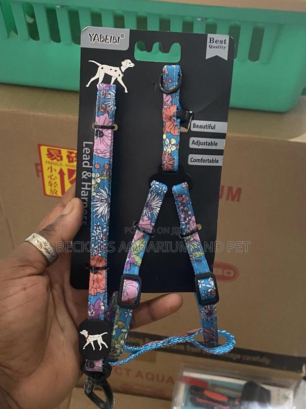 Package Harness With Leash · Photo 5