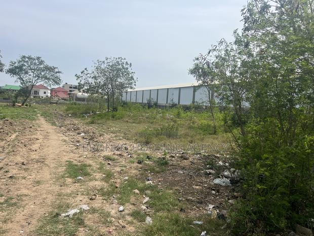 Land for Rent · Photo 2