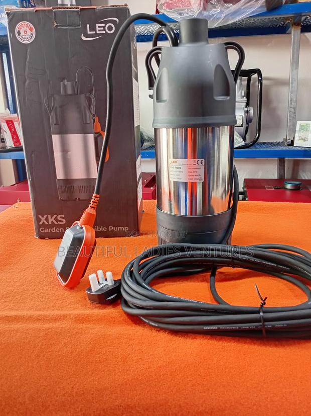 Ssubmersible Garden Pump · Photo 1