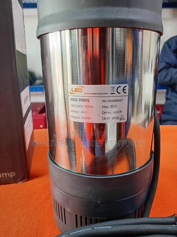 Ssubmersible Garden Pump · Photo 2