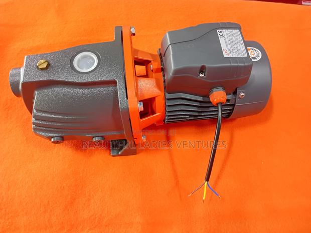 Leo Surface Pump Quality 1.5hp · Photo 1