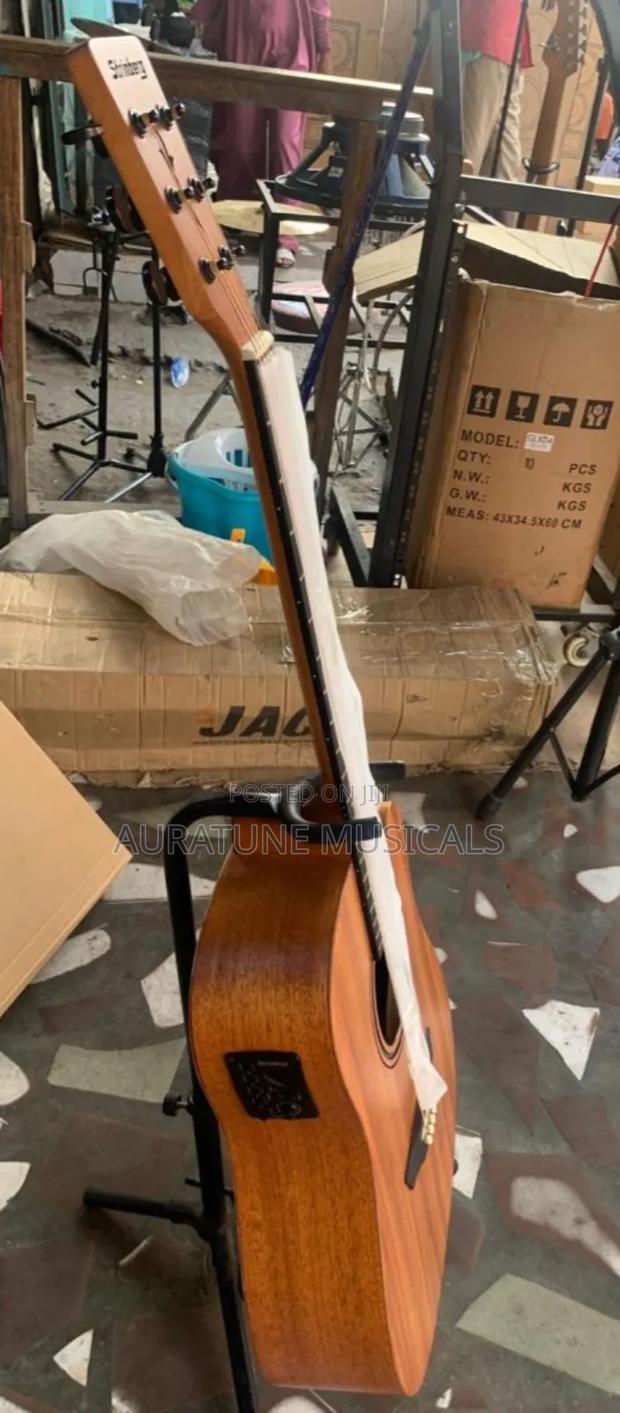 Stringberg Semi-Acoustic Guitar · Photo 2