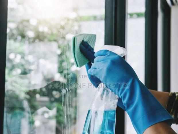 Profession Window Glass Cleaners · Photo 2