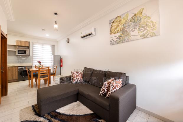 Furnished 1bdrm Apartment in 1995 Apartment, American House for rent · Photo 6