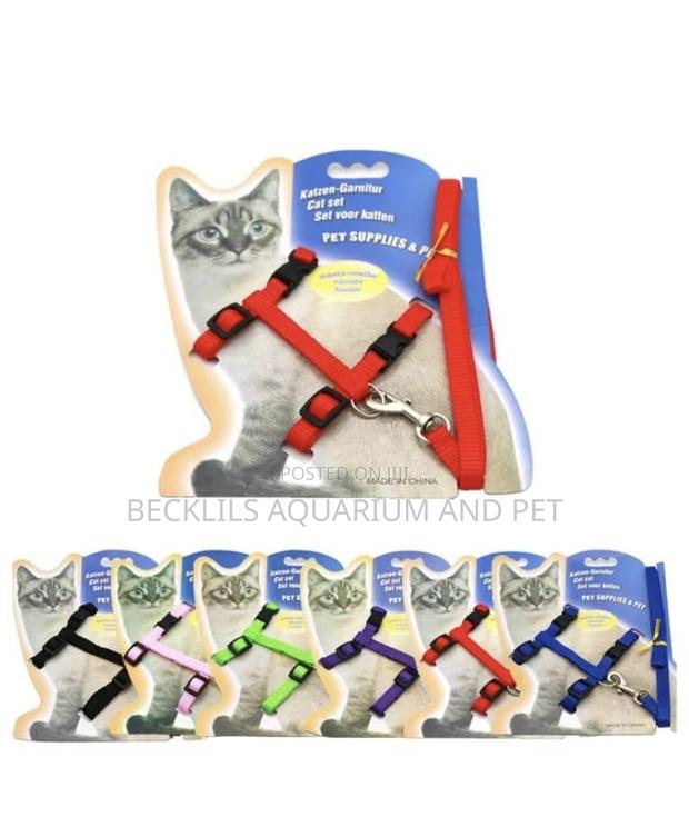 Cat Leash With Harness · Photo 1
