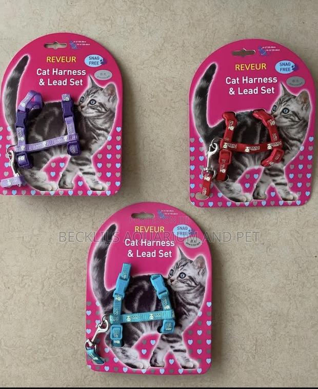 Cat Leash With Harness · Photo 2