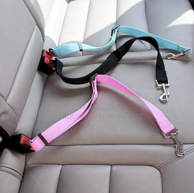 Car Set Belt Leash · Photo 1