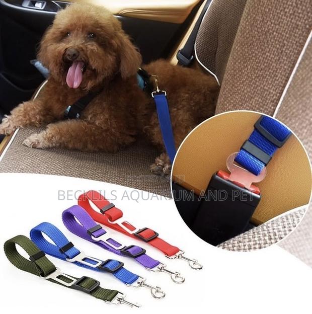 Car Set Belt Leash · Photo 2