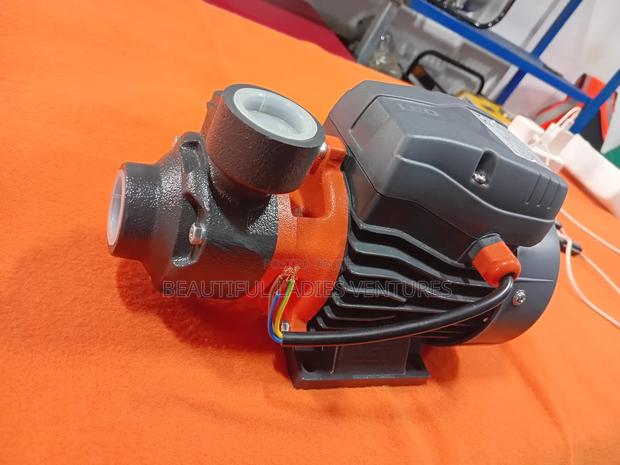 Pout 0.5hp Brand New Leo 0.37kw Water Pump · Photo 1