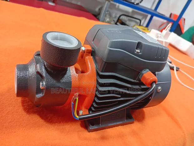 Leo Water Pump 0.5hp · Photo 1