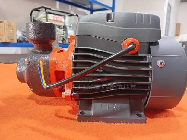 Leo Water Pump 0.5hp · Photo 2