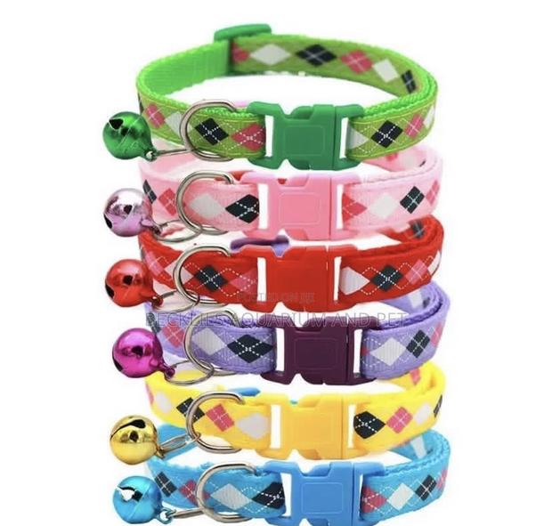Pet Multicolored Collar · Photo 1