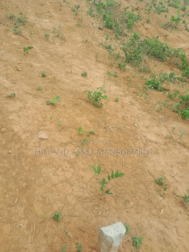 Half Plot Forsale at Adietem-Mpatado · Photo 1