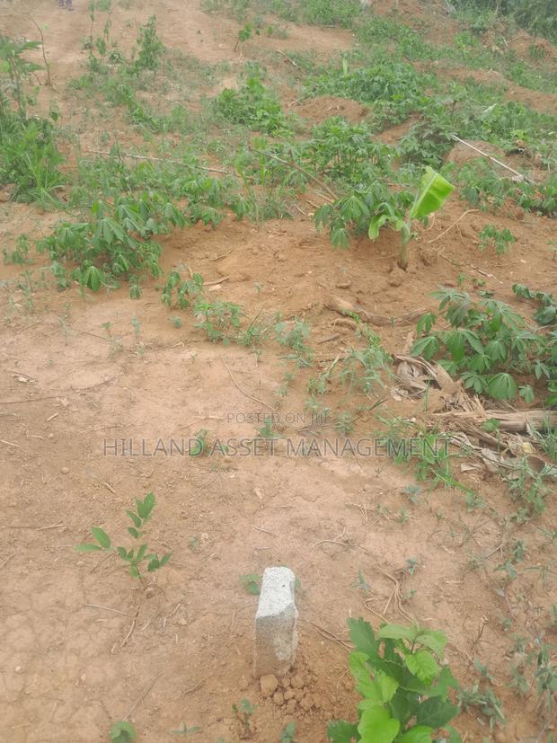 Half Plot Forsale at Adietem-Mpatado · Photo 2