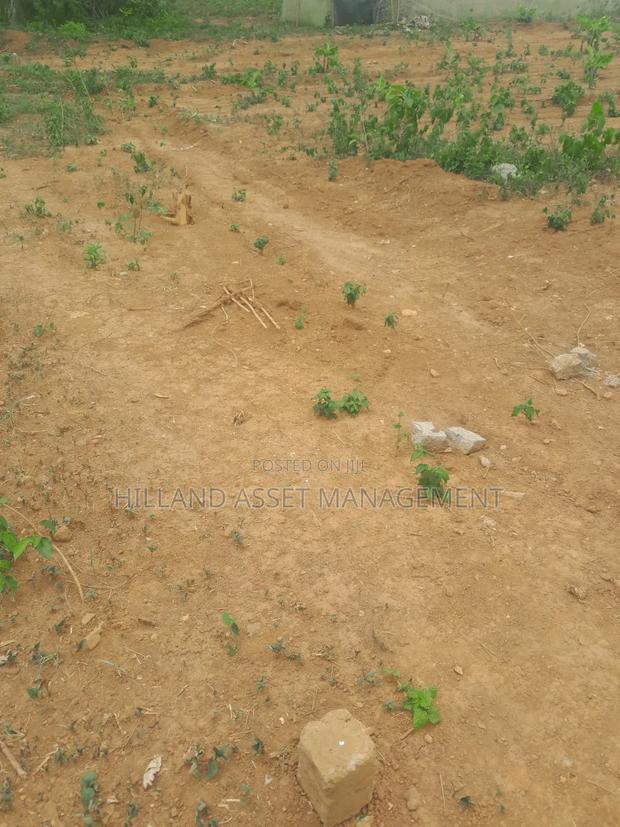 Half Plot Forsale at Adietem-Mpatado · Photo 3