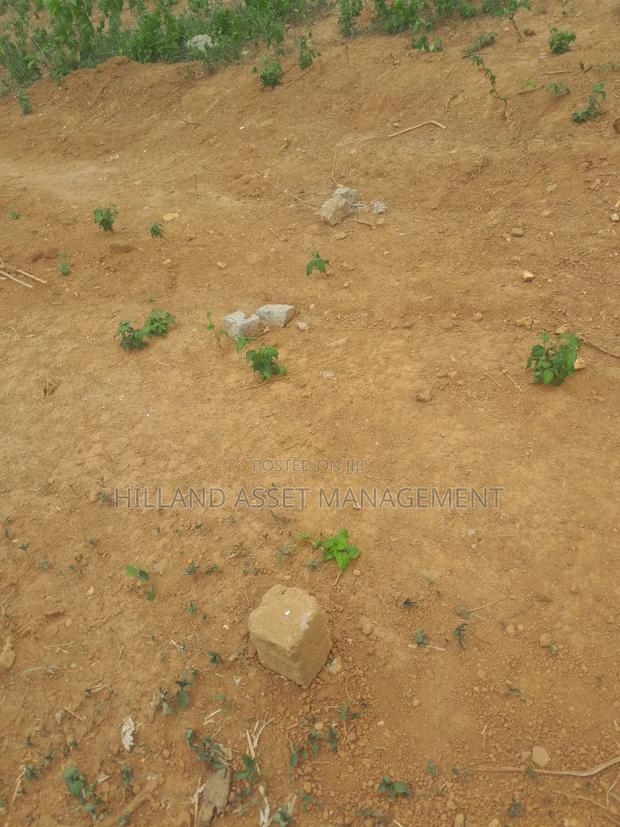 Half Plot Forsale at Adietem-Mpatado · Photo 4
