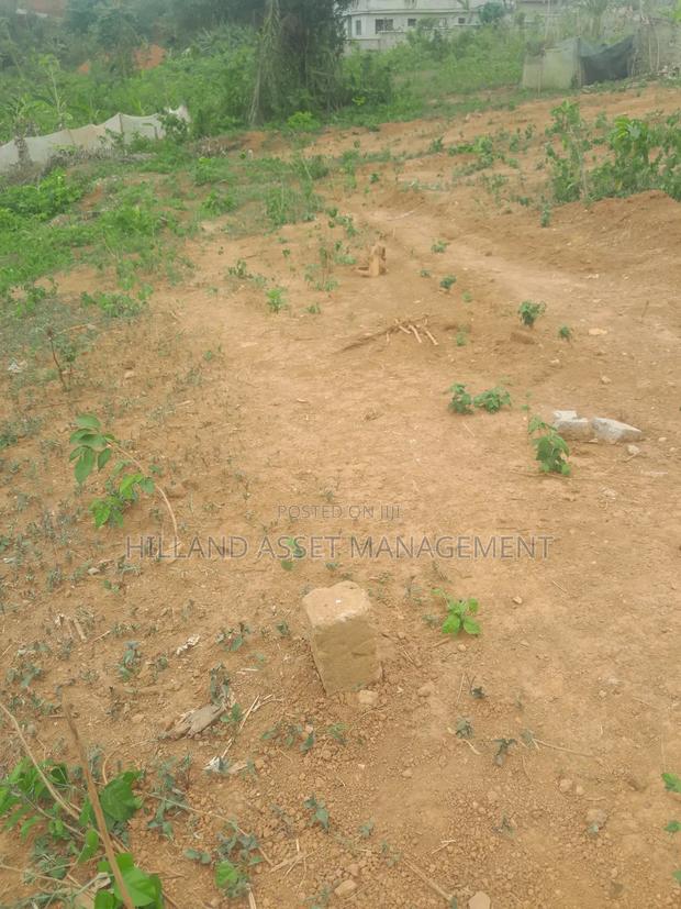 Half Plot Forsale at Adietem-Mpatado · Photo 5