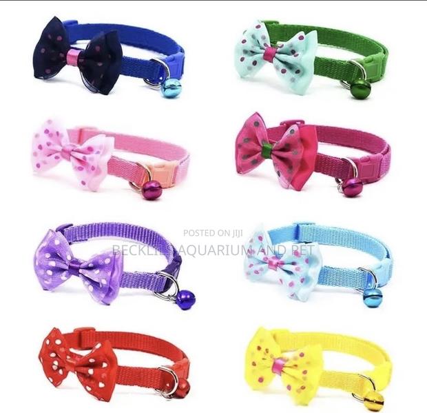 Quality Collars for Small Dogs and Cat · Photo 1