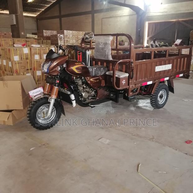 New Apsonic AP200ZH-W VIP 2024 Brown · Photo 1