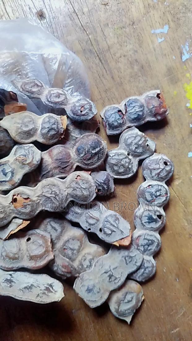 Bagawura / Acacia Seed · Photo 1