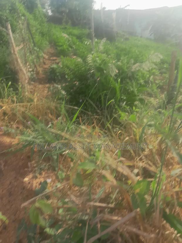 200 Plots Forsale at Adietem-Mpatado · Photo 5